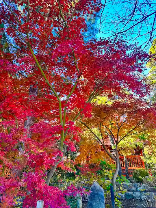 高幡不動尊 金剛寺(東京都)