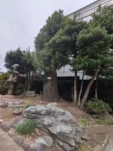 善仁寺(東京都)