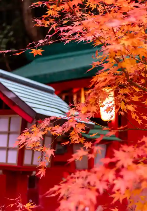 宮地嶽神社(福岡県)