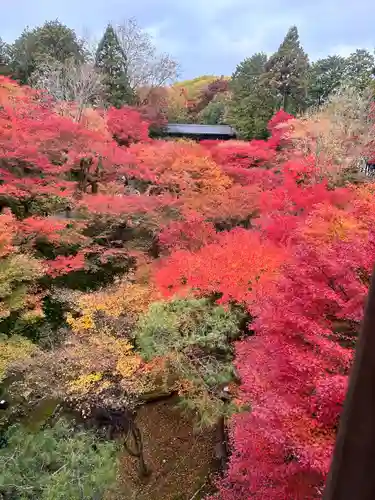 東福禅寺（東福寺）(京都府)