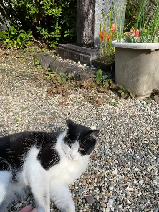 平等寺(三輪山平等寺)(奈良県)
