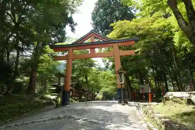 日吉大社の鳥居