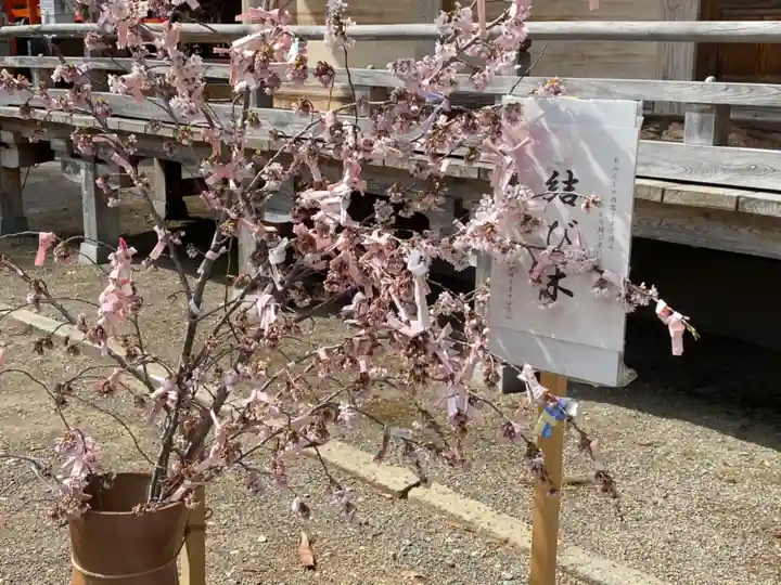 櫛引八幡宮(青森県)