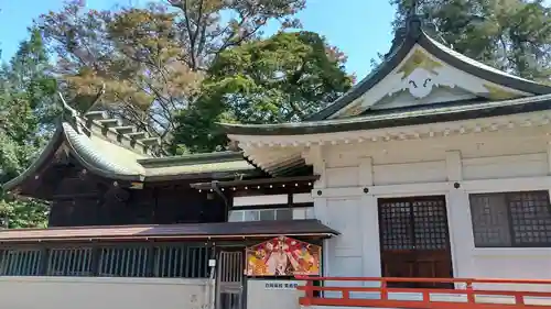 白岡八幡神社(埼玉県)