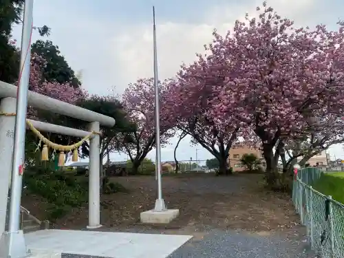 台渡里八幡神社(茨城県)