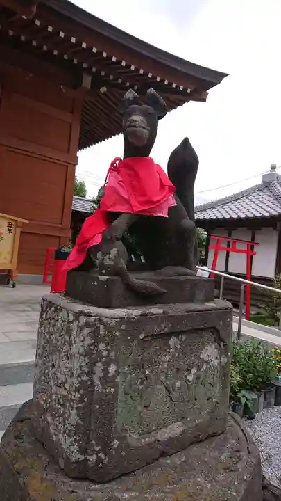 於菊稲荷神社の狛犬