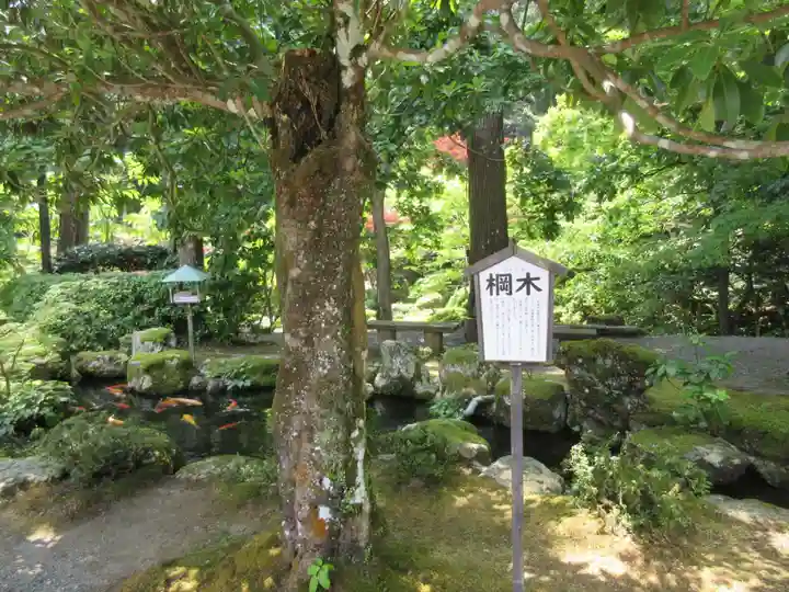 明通寺(福井県)