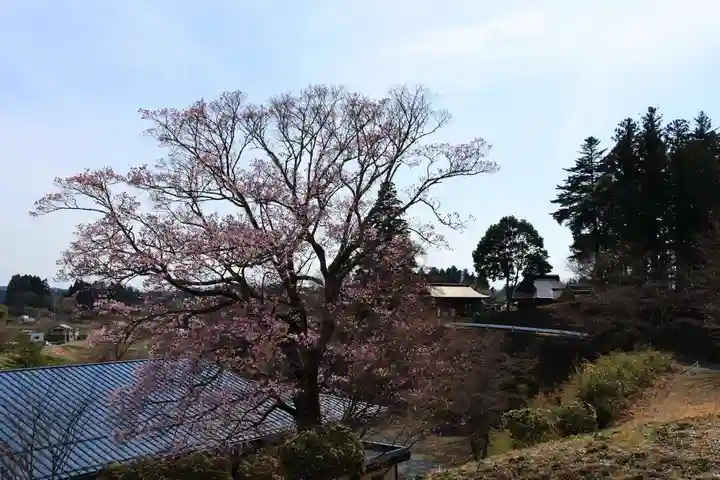 長屋神社の景色