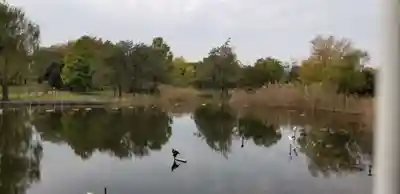 高須香取神社の周辺