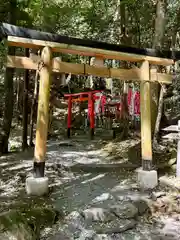 出雲大神宮の鳥居