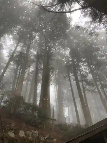 三峯神社(埼玉県)
