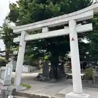 滝野川八幡神社の{uncategorized: "未分類", other: "その他", undefined: "問題あり", building: "その他建物", grave: "お墓", sacred_gate: "鳥居", guardian: "狛犬", statue: "像", buddha: "仏像", history: "歴史", nature: "自然", garden: "庭園", animal: "動物", pagoda: "塔", temizu: "手水舎", mountain_gate: "山門・神門", sanctuary: "本殿・本堂", subordinate: "末社・摂社", art: "芸術", scenery: "景色", jizo: "地蔵", ema: "絵馬", goshuin: "御朱印", omikuji: "おみくじ", items: "授与品その他", amulet: "お守り", goshuincho: "御朱印帳", eats: "食事", festival: "お祭り", votive_dance: "神楽", shichigosan: "七五三参", wedding: "結婚式", experience: "体験その他", initially: "初詣", around: "周辺", anti_infection: "感染症対策"}