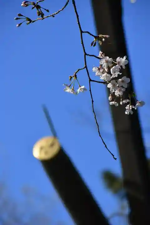 天照皇大神の自然