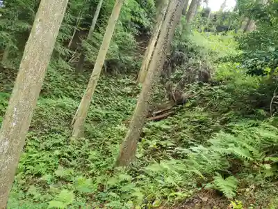 白山神社の周辺
