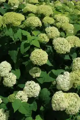 性海寺(愛知県)