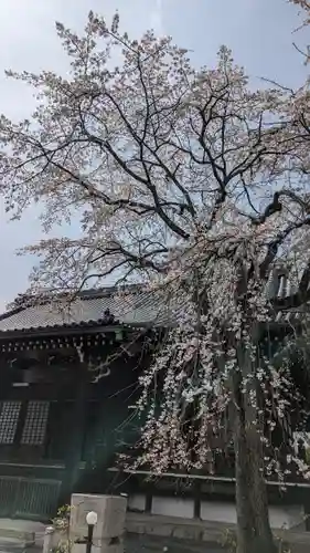 妙満寺(京都府)