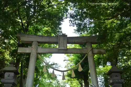 篠原八幡神社の鳥居