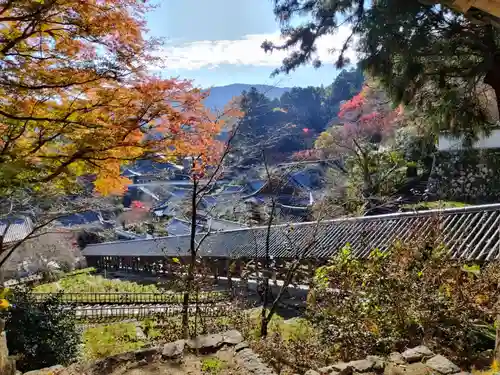 長谷寺(奈良県)