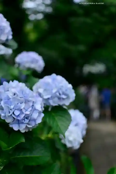 妙楽寺(神奈川県)
