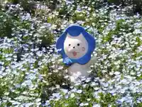 桜島神社(大阪府)