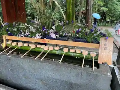 武蔵一宮氷川神社(埼玉県)