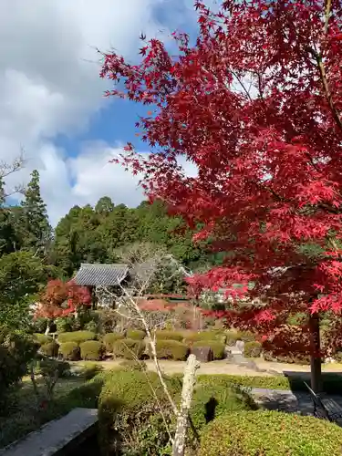 大池寺の庭園