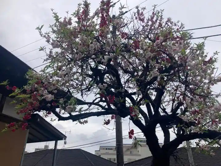 土橋観音堂(神奈川県)
