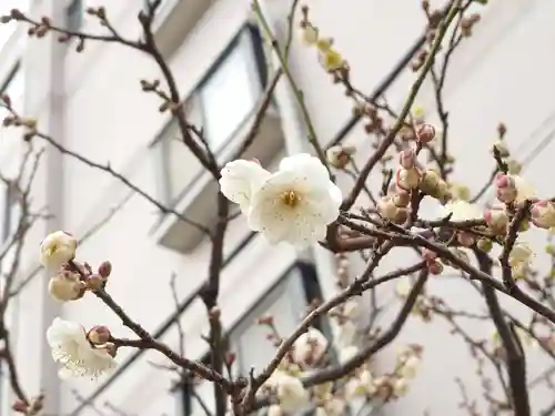 法輪寺(東京都)