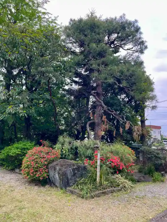 永泉寺の{uncategorized: "未分類", other: "その他", undefined: "問題あり", building: "その他建物", grave: "お墓", sacred_gate: "鳥居", guardian: "狛犬", statue: "像", buddha: "仏像", history: "歴史", nature: "自然", garden: "庭園", animal: "動物", pagoda: "塔", temizu: "手水舎", mountain_gate: "山門・神門", sanctuary: "本殿・本堂", subordinate: "末社・摂社", art: "芸術", scenery: "景色", jizo: "地蔵", ema: "絵馬", goshuin: "御朱印", omikuji: "おみくじ", items: "授与品その他", amulet: "お守り", goshuincho: "御朱印帳", eats: "食事", festival: "お祭り", votive_dance: "神楽", shichigosan: "七五三参", wedding: "結婚式", experience: "体験その他", initially: "初詣", around: "周辺", anti_infection: "感染症対策"}