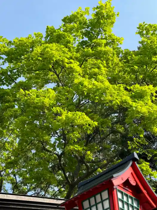 伊達神社の建物その他