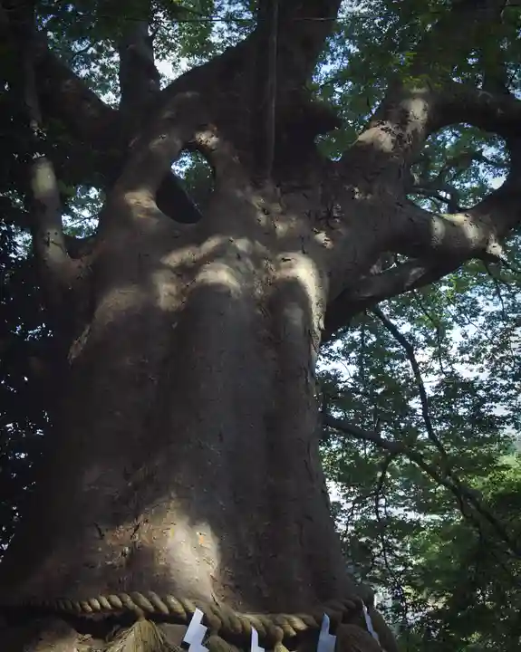 常陸第三宮 吉田神社(茨城県)