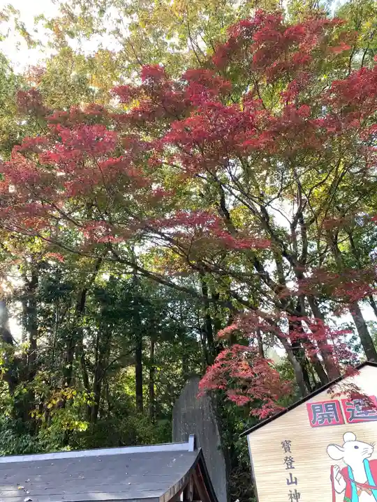 宝登山神社の自然