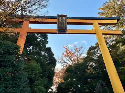 川越氷川神社(埼玉県)