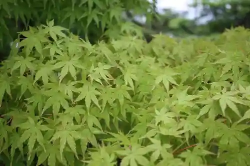  智積院(京都府)