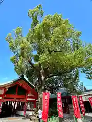 足の神様 服部天神宮(大阪府)