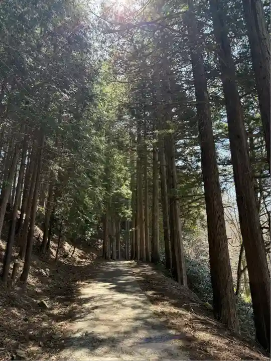 三峯神社(埼玉県)