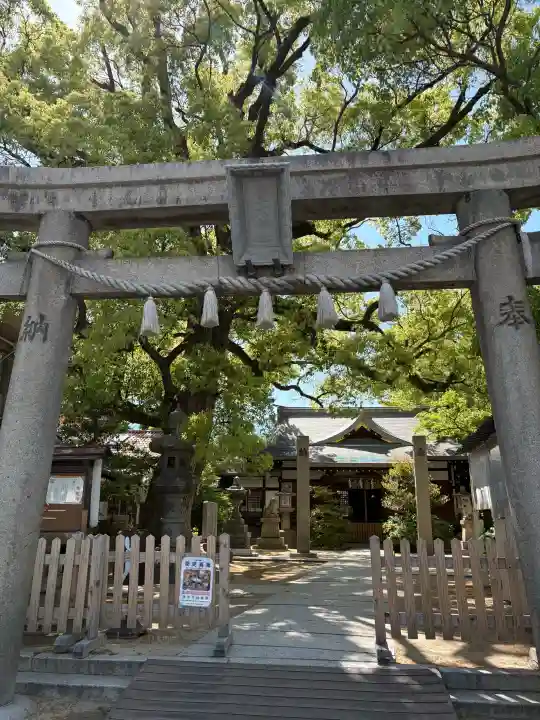 皇大神社の{uncategorized: "未分類", other: "その他", undefined: "問題あり", building: "その他建物", grave: "お墓", sacred_gate: "鳥居", guardian: "狛犬", statue: "像", buddha: "仏像", history: "歴史", nature: "自然", garden: "庭園", animal: "動物", pagoda: "塔", temizu: "手水舎", mountain_gate: "山門・神門", sanctuary: "本殿・本堂", subordinate: "末社・摂社", art: "芸術", scenery: "景色", jizo: "地蔵", ema: "絵馬", goshuin: "御朱印", omikuji: "おみくじ", items: "授与品その他", amulet: "お守り", goshuincho: "御朱印帳", eats: "食事", festival: "お祭り", votive_dance: "神楽", shichigosan: "七五三参", wedding: "結婚式", experience: "体験その他", initially: "初詣", around: "周辺", anti_infection: "感染症対策"}