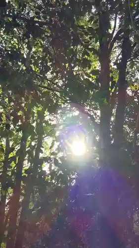 天野神社(香川県)