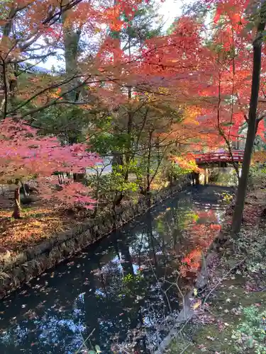 鶴岡八幡宮の庭園