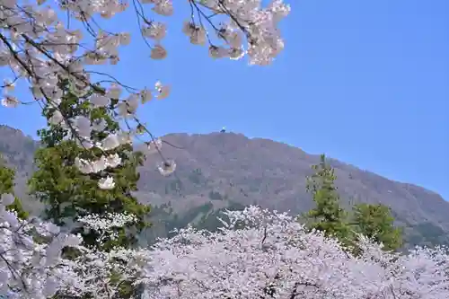 彌彦神社(新潟県)