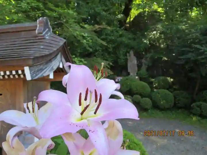 岩角山 岩角寺の自然