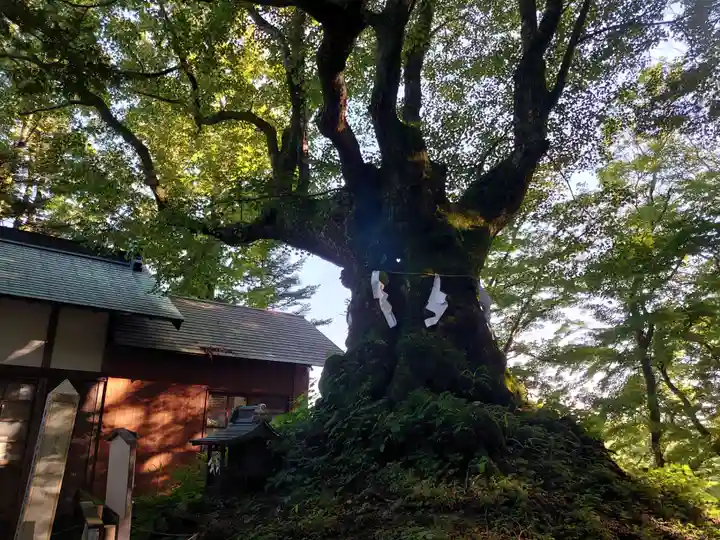 熊野皇大神社のその他建物