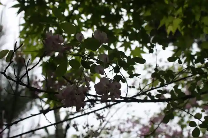 西應寺(滋賀県)