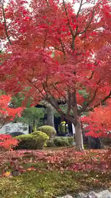 圓光寺(京都府)