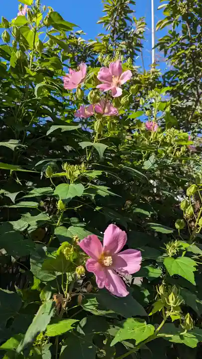 平野神社(京都府)