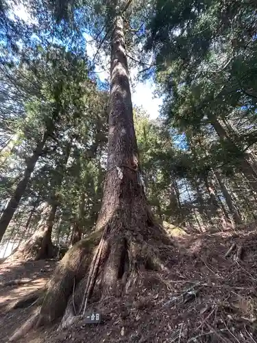 河口浅間神社(山梨県)