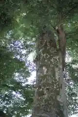 八枝神社(埼玉県)