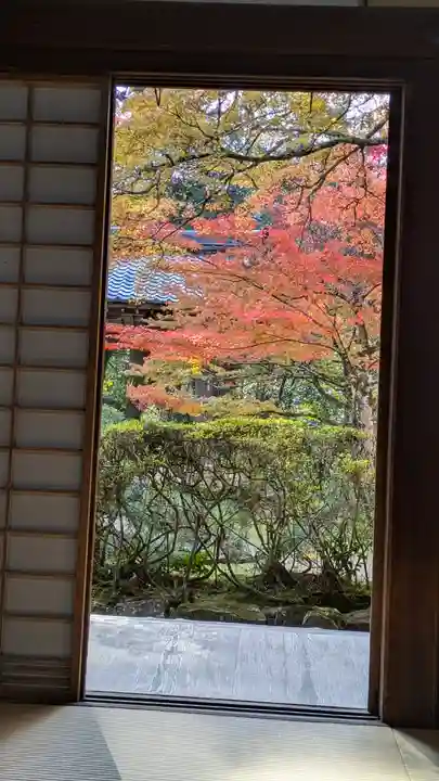 西明寺(京都府)