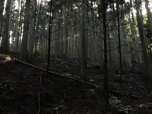 龜山神社の周辺