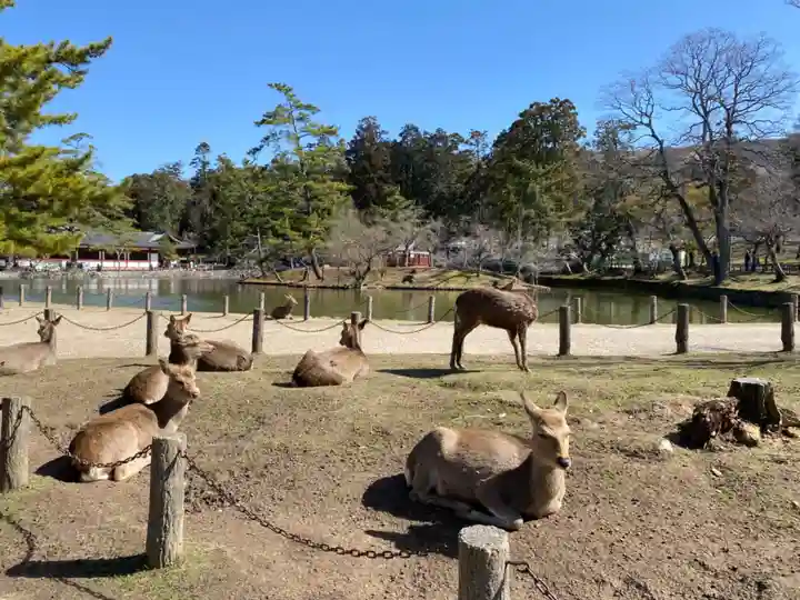 東大寺(奈良県)